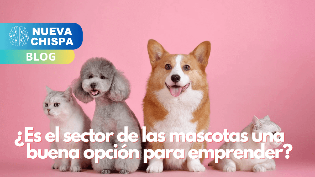 ¿Es el sector de las mascotas una buena opción para emprender?